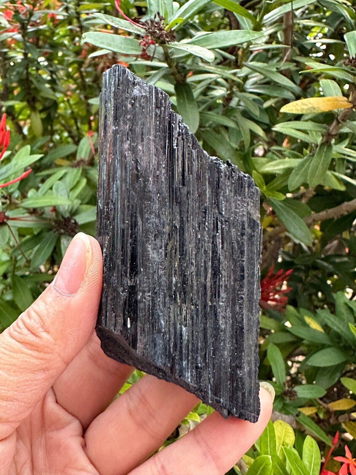 5 pcs Set Shiny Black Tourmaline Log, Grade A++ Natural Black Tourmaline Rod