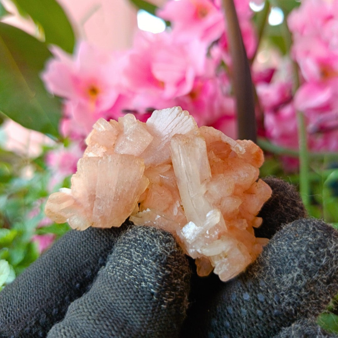 Small Top Grade Orange Stilbite with Heulandite Crystal Specimen 120g India
