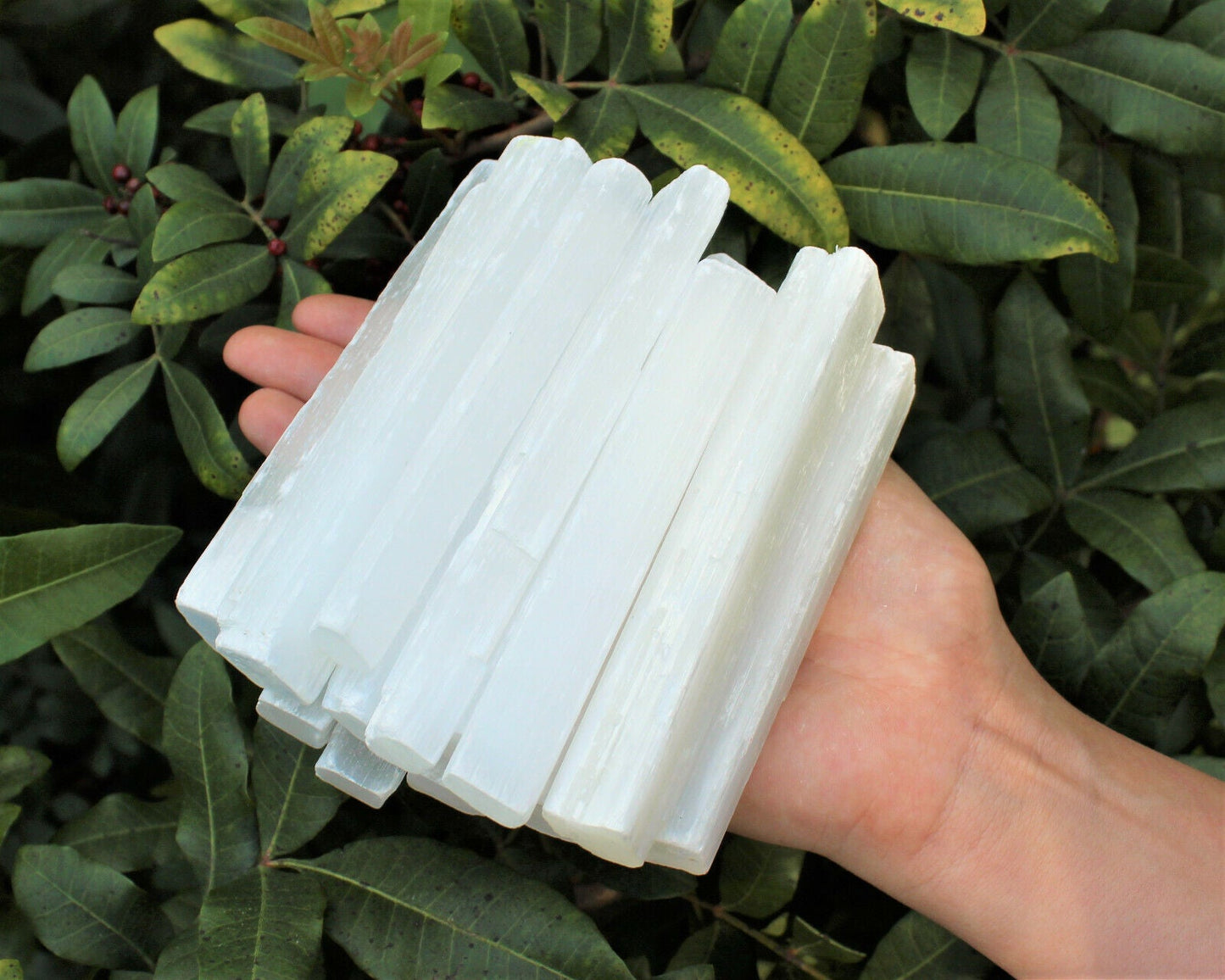 1 lb Bulk Wholesale Lot 5" Selenite Sticks (Raw Selenite Wand, Selenite Crystal)