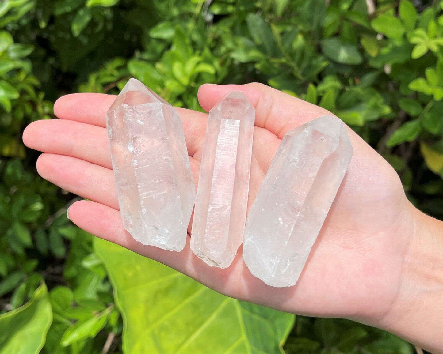 Clear Quartz Crystal Point (2" - 3") Natural Wand Specimen, Reiki Healing