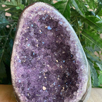 Finely Polished Uruguay Amethyst Cluster Crystal Geode, Pick a Size: 0.5 to 4 Lb