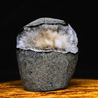 Quartz Geode with Scolecite Crystal Cluster 210g Healing Stone India