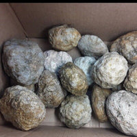 5 lbs Premium Kentucky Uncut Geodes Agates Nodules Lapidary Quartz Crystals Sale