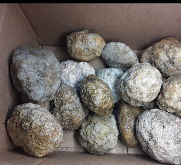 5 lbs Premium Kentucky Uncut Geodes Agates Nodules Lapidary Quartz Crystals Sale