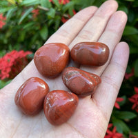 Grade A++ Red Jasper Tumbled Stones, 0.8"-1.25" Tumbled Red Jasper,Pick How Many