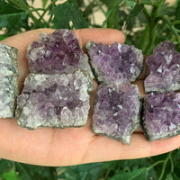 Raw Amethyst Cluster Druzy Collection Box: 6 - 8 oz Box Lot, Natural Amethyst