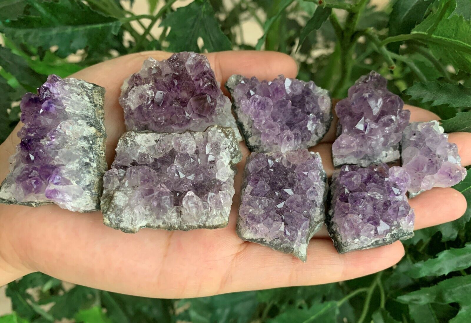Raw Amethyst Cluster Druzy Collection Box: 6 - 8 oz Box Lot, Natural Amethyst