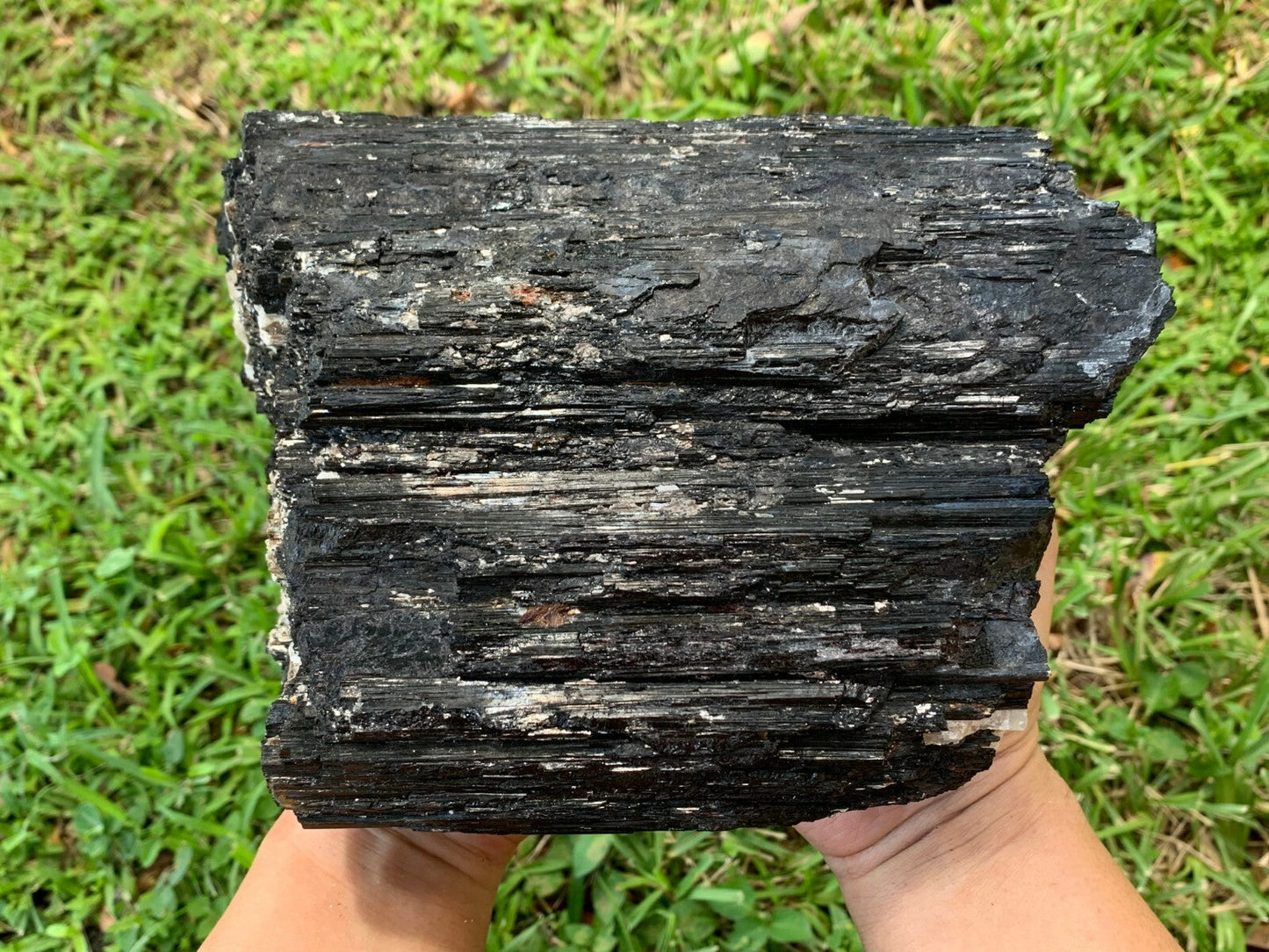 Extra Large Black Tourmaline Chunk / Rod / Log, Natural Rough Black Tourmaline