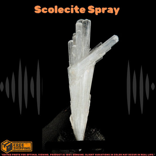 Natural Scolecite Spray 35g Rare Zeolite Crystal Specimen from India