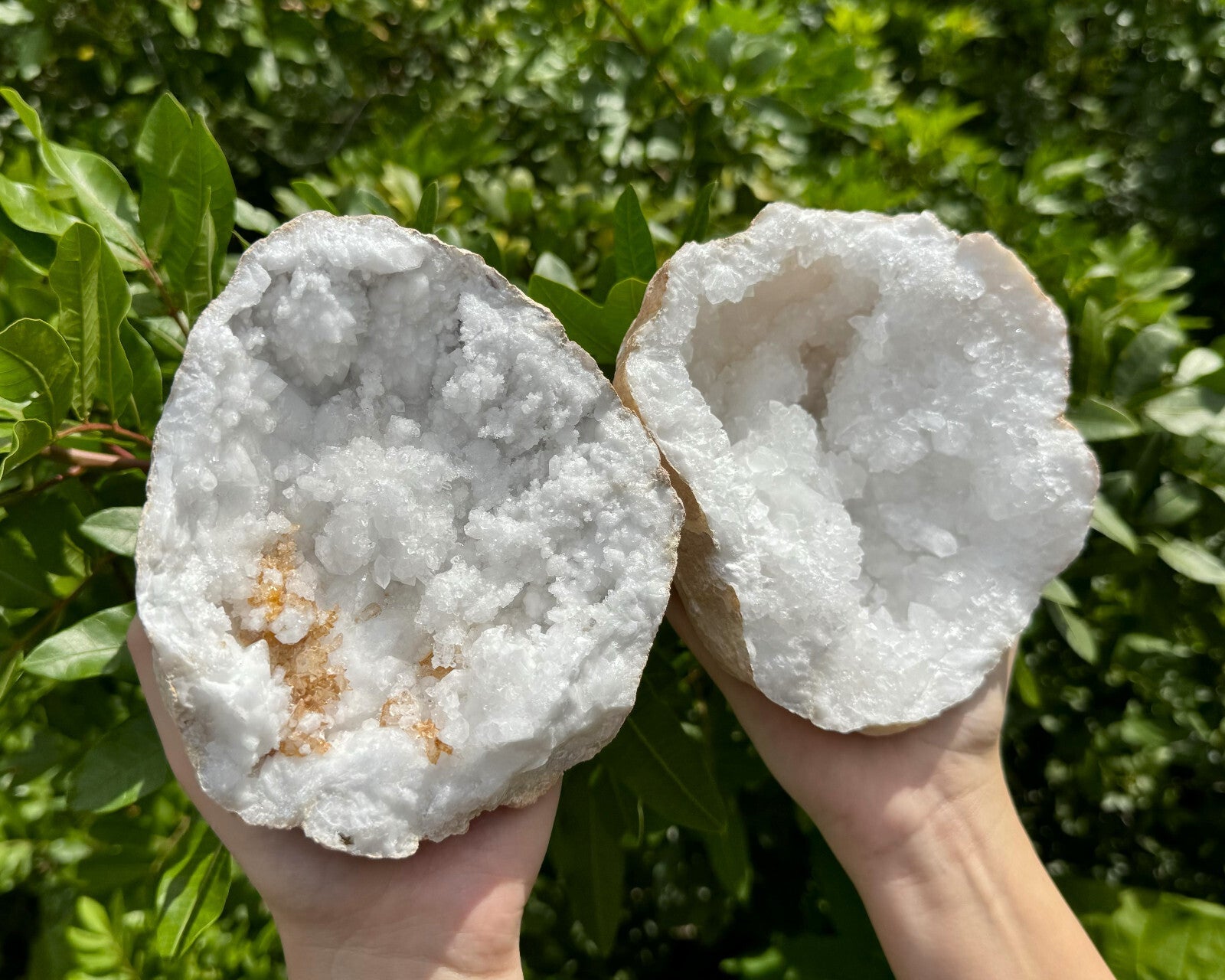 MASSIVE Sugar Quartz Geodes - Natural Crystal Geode Specimens From Morocco