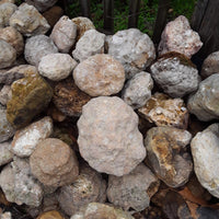 5 lbs Premium Kentucky Uncut Geodes Agates Nodules Lapidary Quartz Crystals Sale