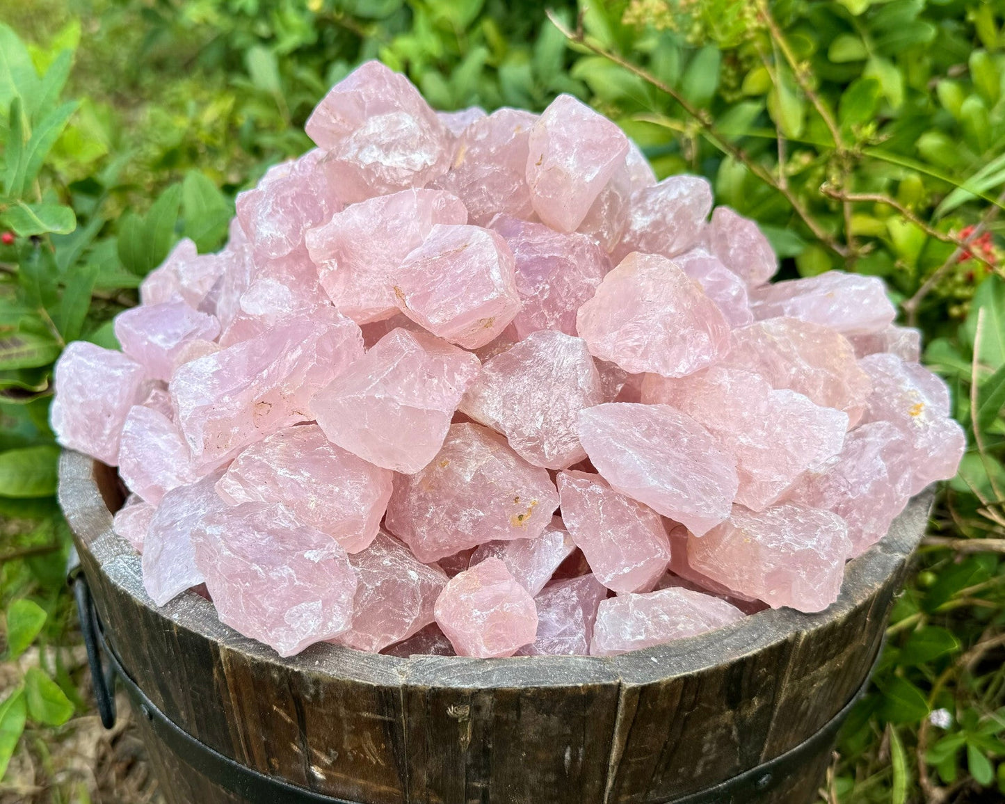 1/2 lb Bulk Lot Natural Rough Rose Quartz Crystals (Raw Reiki Love Healing 8 oz)