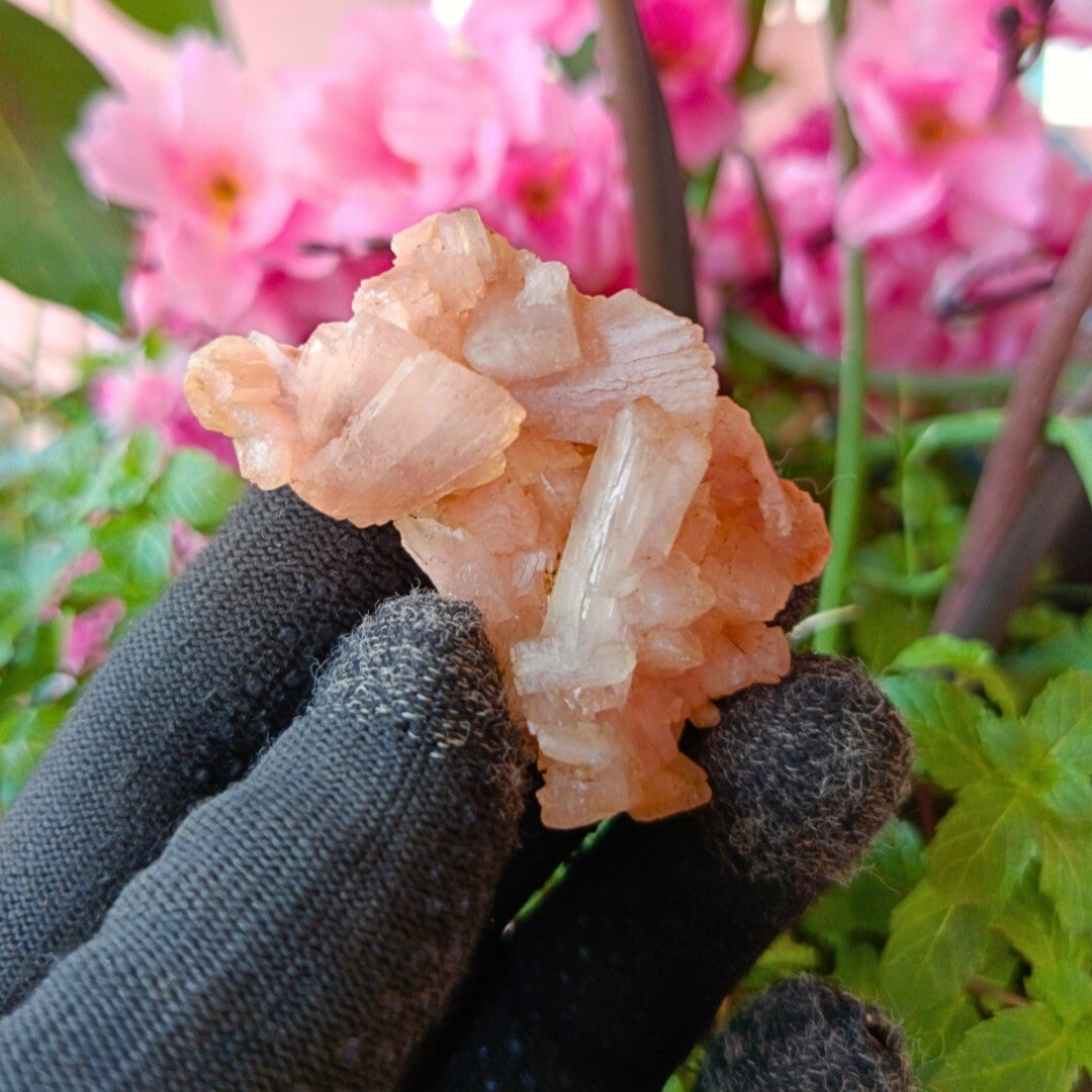 Small Top Grade Orange Stilbite with Heulandite Crystal Specimen 120g India