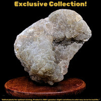 Natural Coral Chalcedony Cluster 720g Healing Reiki Crystal from India