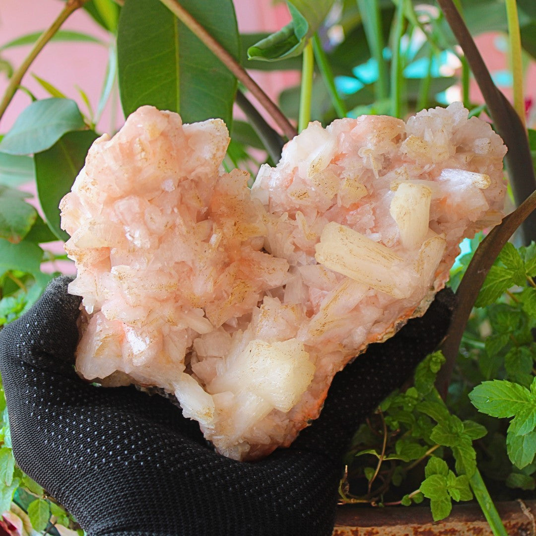 ✨ Natural Orange Stilbite & Heulandite Crystal Cluster 980g Reiki Healing Stone