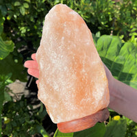 LARGE Natural Himalayan Salt Lamp, 8" Salt Rock Lamp + Chord/Bulb (Crystal Lamp)