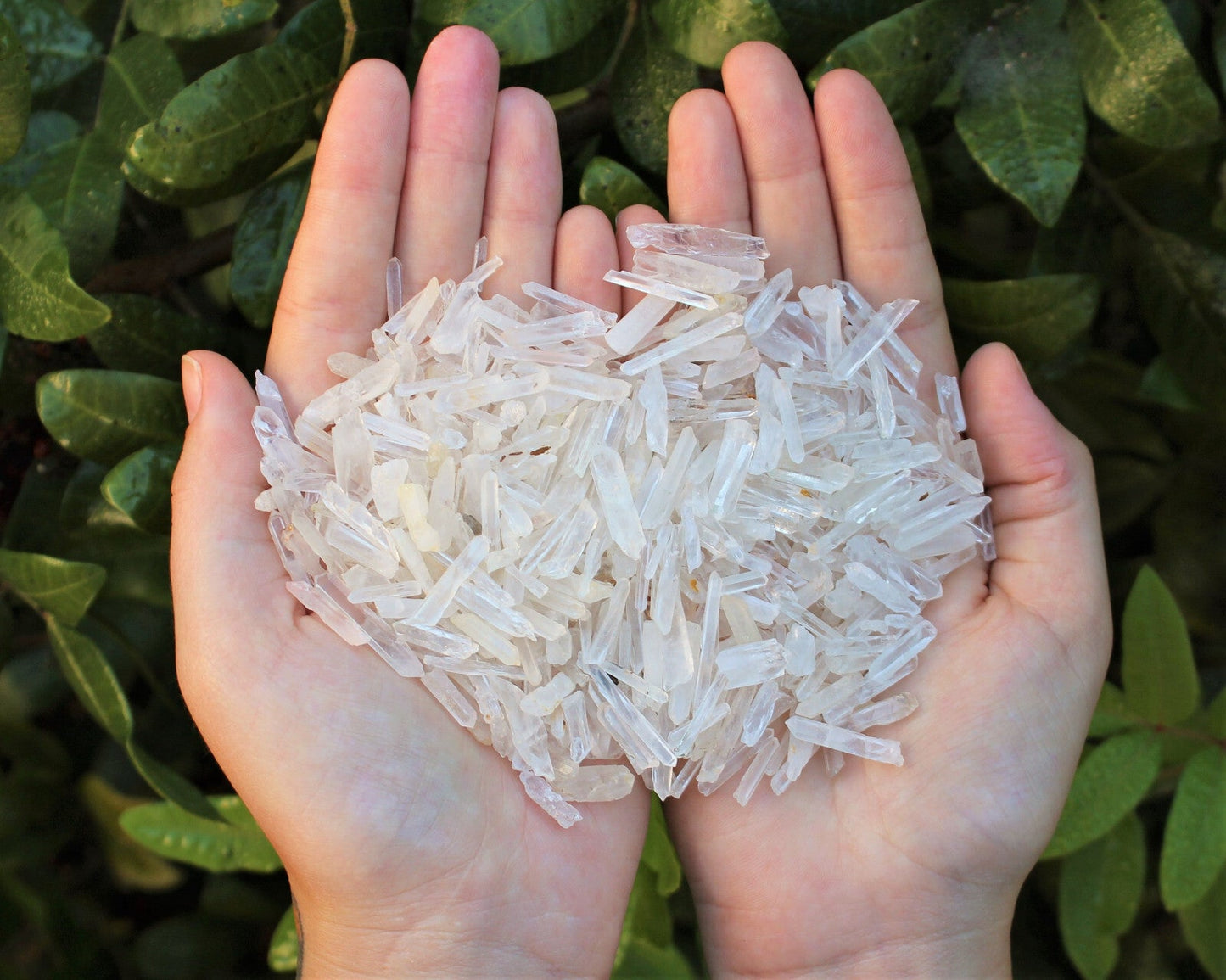 Tiny Natural Matchstick / Jewelry Quartz Crystal Points 1/2 lb (8 oz) Box Lot