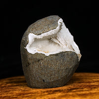 Natural Scolecite Spray Geode – 135g – Zeolite Crystal from India 🇮🇳