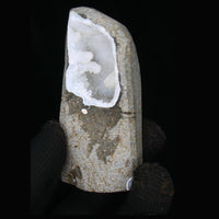 180g Scolecite Spray with White Apophyllite in Heulandite Geode India