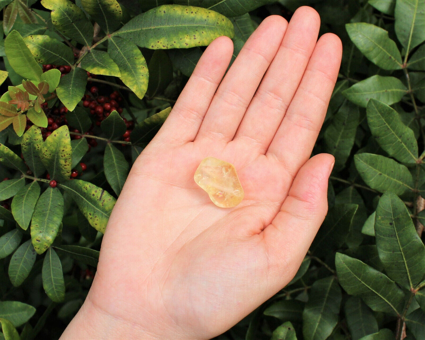 1 x Tumbled Stones : You Choose Type - Huge Range - ON SALE! (Crystal Healing)