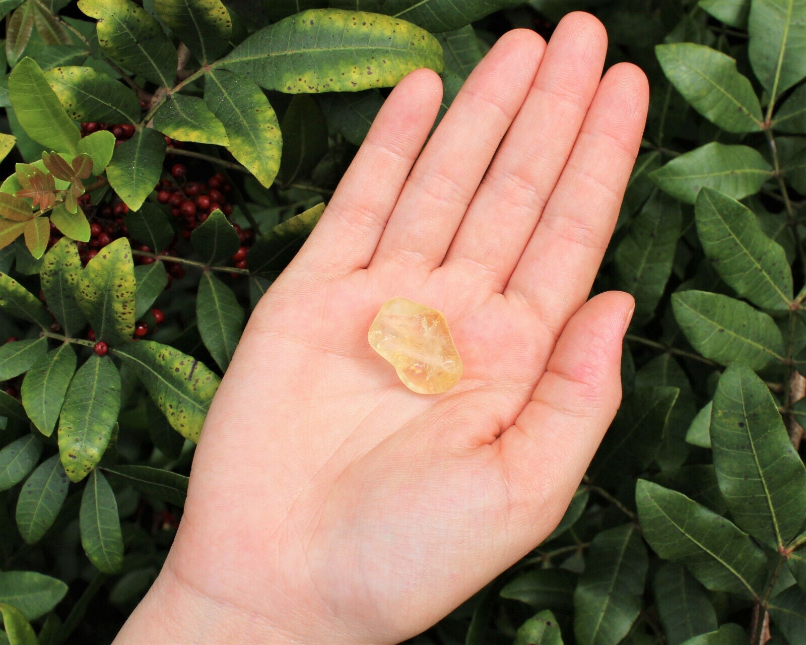 1 x Tumbled Stones : You Choose Type - Huge Range - ON SALE! (Crystal Healing)