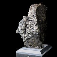 Rare Coral Chalcedony Crystal 290g Botryoidal Mineral Specimen India