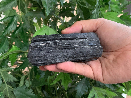 Extra Large Black Tourmaline Chunk / Rod / Log, Natural Rough Black Tourmaline