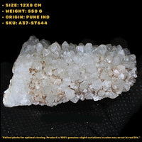 Rare Apophyllite Crystal Cluster 550g Natural Mineral Specimen India