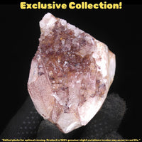 Phantom Quartz Crystal 174g 8x5 cm Natural Raw Cluster Healing Specimen