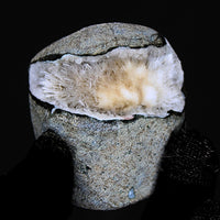Quartz Geode with Scolecite Crystal Cluster 210g Healing Stone India