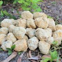 Break Your Own Geodes Gift Box (4 LARGE pcs) Unopened Moroccan Crystal Geodes