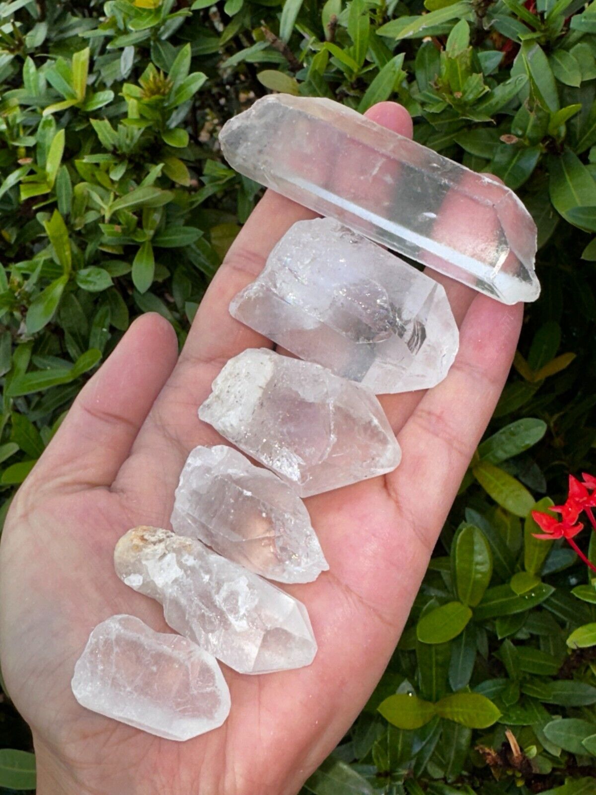 Natural Clear Quartz Crystal Points 1 to 3 Inches, Wholesale Bulk Lot