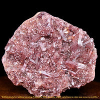 Phantom Clear Quartz Cluster 100g Natural Crystal Specimen from India