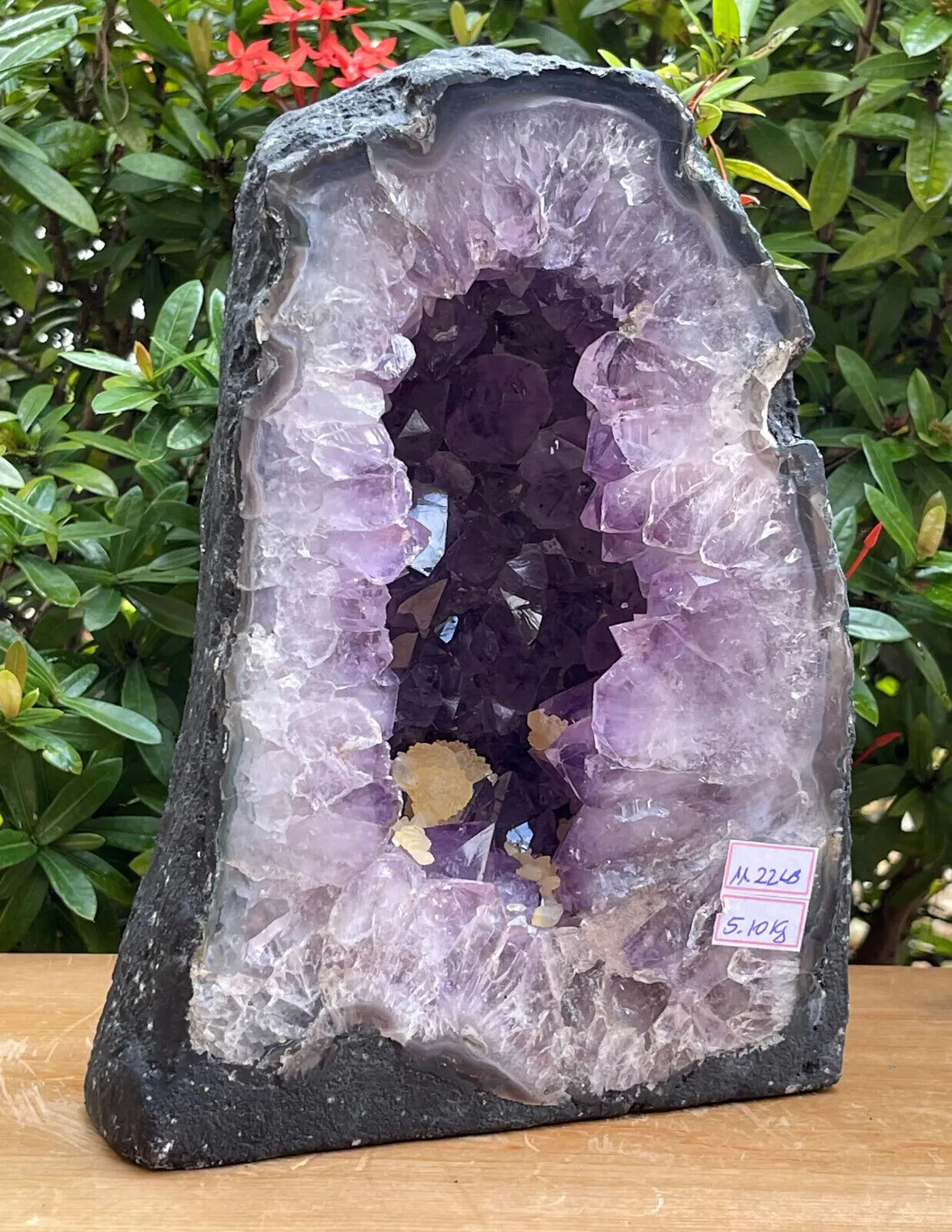 X-Large Amethyst Cathedral, Amethyst Geode,Raw Amethyst Cluster, Pick a Weight