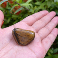 Grade A++ Gold Tiger Eye Tumbled Stones, 1"-1.5" Tumbled Tiger Eye,Pick How Many