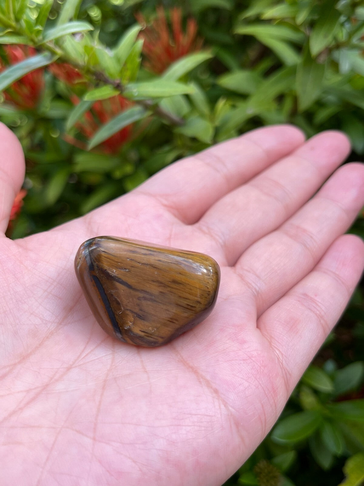 Grade A++ Gold Tiger Eye Tumbled Stones, 1"-1.5" Tumbled Tiger Eye,Pick How Many