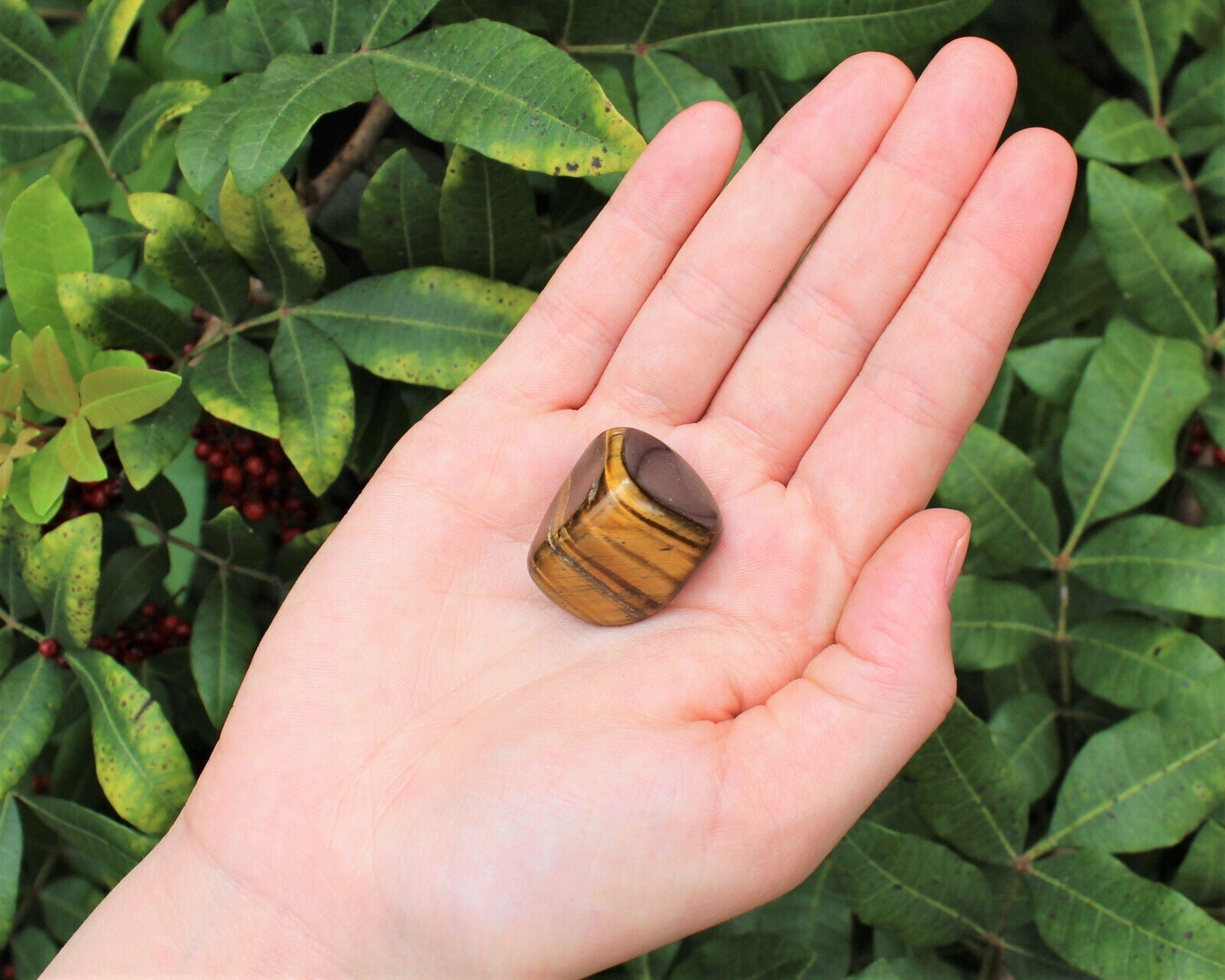 1 x Tumbled Stones : You Choose Type - Huge Range - ON SALE! (Crystal Healing)