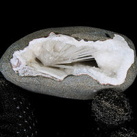 Raw Scolecite Geode 136g Healing Crystal Cluster Energy Stone India