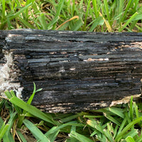 Extra Large Black Tourmaline Chunk / Rod / Log, Natural Rough Black Tourmaline