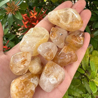 1/2 Lb Lot Tumbled Stones, 0.75-1.25" Crystal Healing Stones, Choose Stone Type