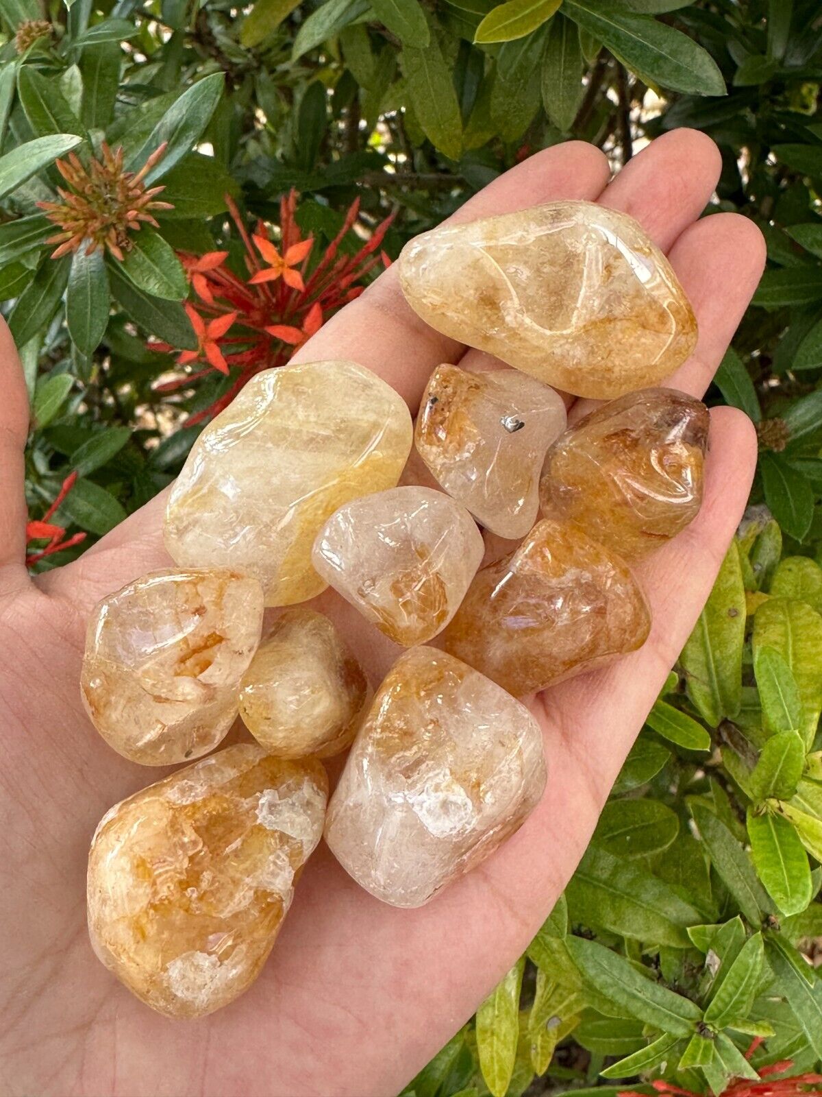 1/2 Lb Lot Tumbled Stones, 0.75-1.25" Crystal Healing Stones, Choose Stone Type