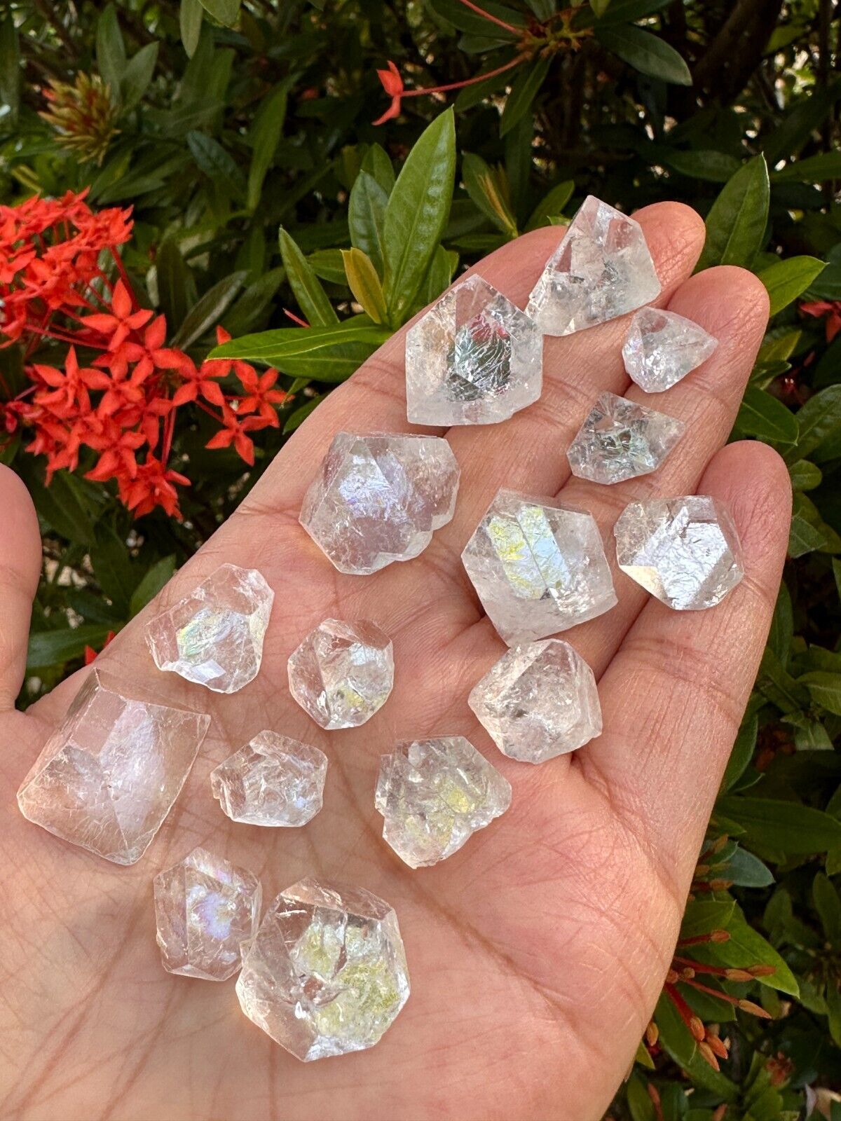 Apophyllite Tips, Apophyllite Point, Apophyllite Pyramid, Wholesale Bulk Lot