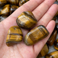 Grade A++ Gold Tiger Eye Tumbled Stones, 1"-1.5" Tumbled Tiger Eye,Pick How Many