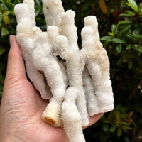 Chalcedony & Crystal Quartz Stalactite, Quartz on Chalcedony Stalactite Specimen