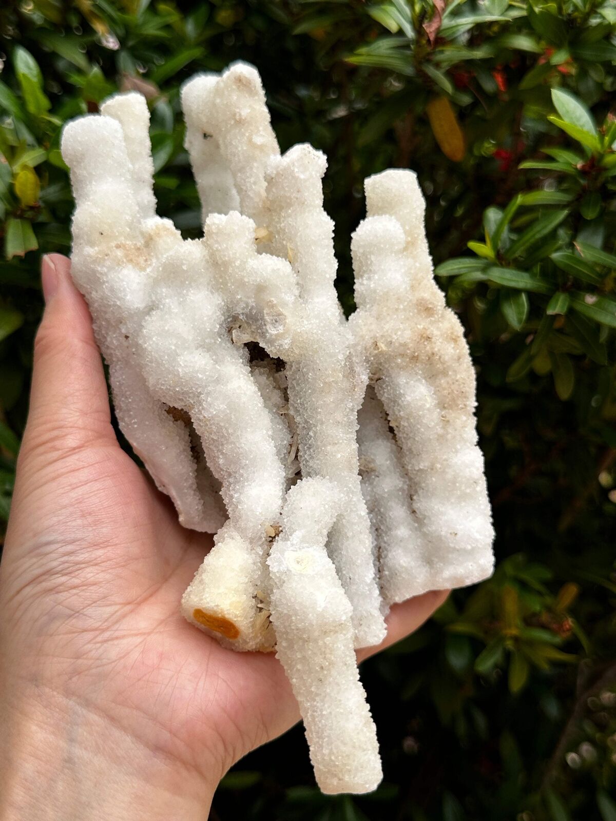 Chalcedony & Crystal Quartz Stalactite, Quartz on Chalcedony Stalactite Specimen