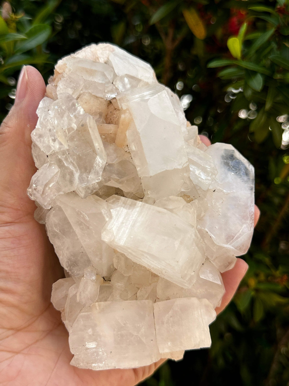 Apophyllite & Stilbite Crystal Cluster 3-8", Apophyllite Cluster with Inclusions