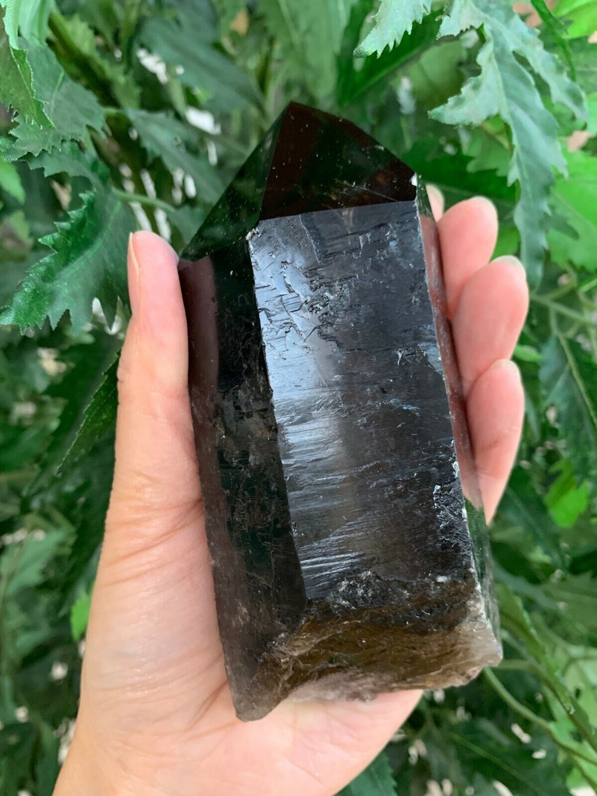 Extra Large Natural Smoky Quartz Crystal Points, 2-3 Inches Smoky Quartz Point