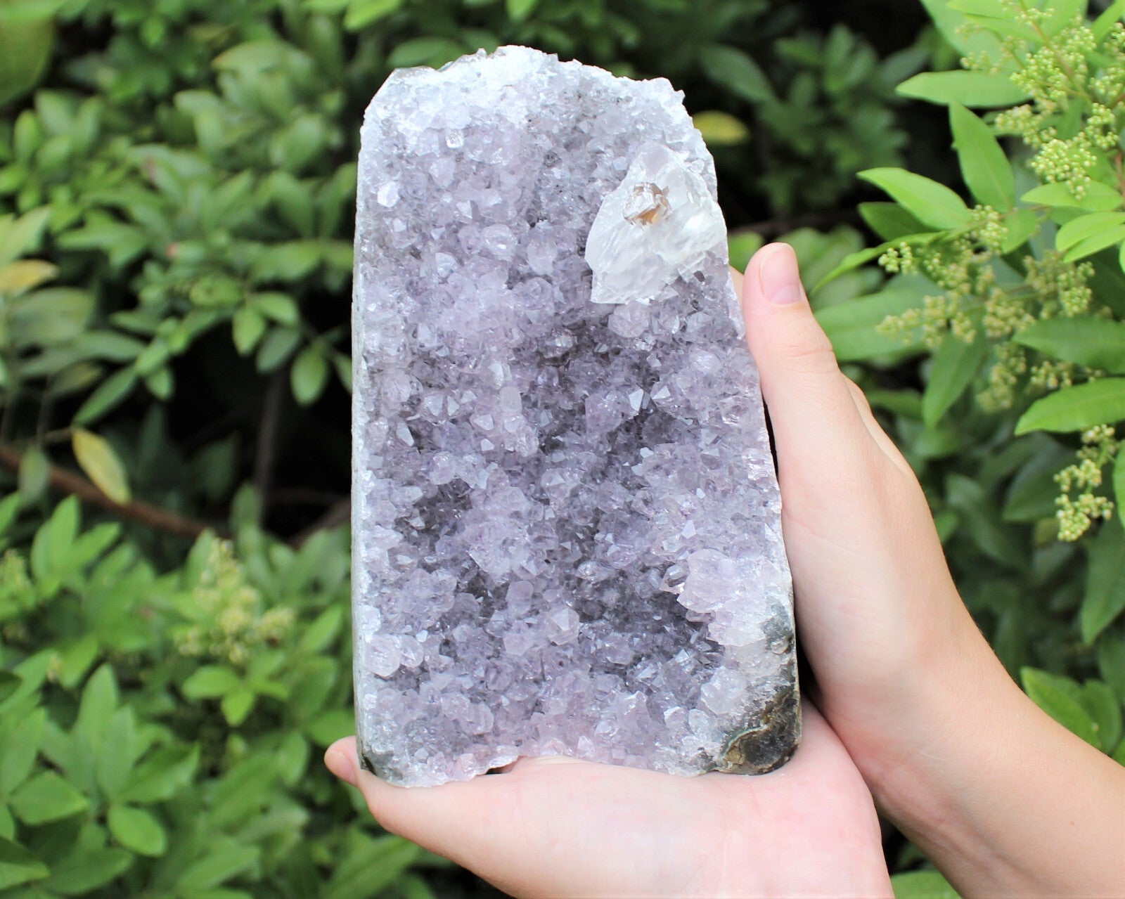 CRAZY CHEAP Gray Lavender Amethyst Cut Base Crystal Geodes - Closeout Amethyst