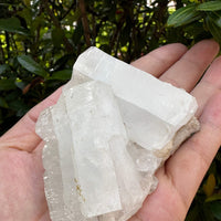 Apophyllite & Stilbite Crystal Cluster 3-8", Apophyllite Cluster with Inclusions