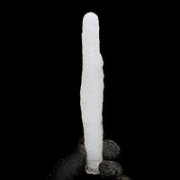 Slim Natural Rainbow Quartz 76g Crystal Wand Display Collectible from India